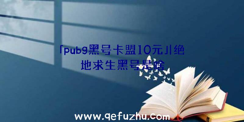 「pubg黑号卡盟10元」|绝地求生黑号是啥